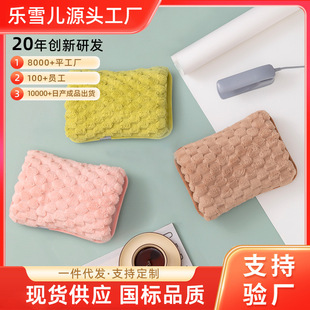 Lescher national standard electric heater charging explosion-proof automatic power-off disassembly-free plush double intervention electric hot water bag wholesale