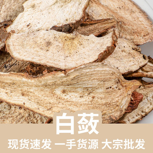 ���`500g�F؛���l ɽ�ع� ��Ʒ���`Ƭ��ĥ���`��ș�ĵ�䁴�ȫ���l