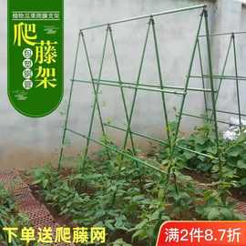 黄瓜爬藤架豆角蔬菜架杆植物固定支撑杆架子包塑钢管种菜专用架子