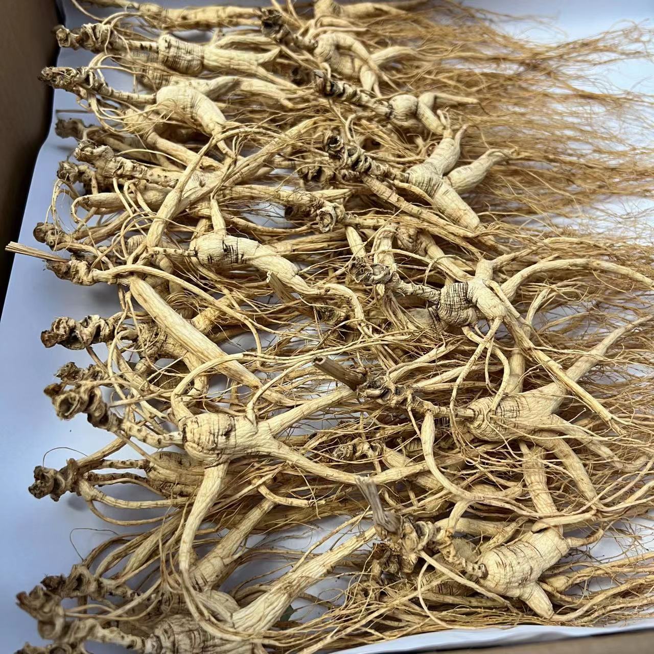 微信图片_20221017225611