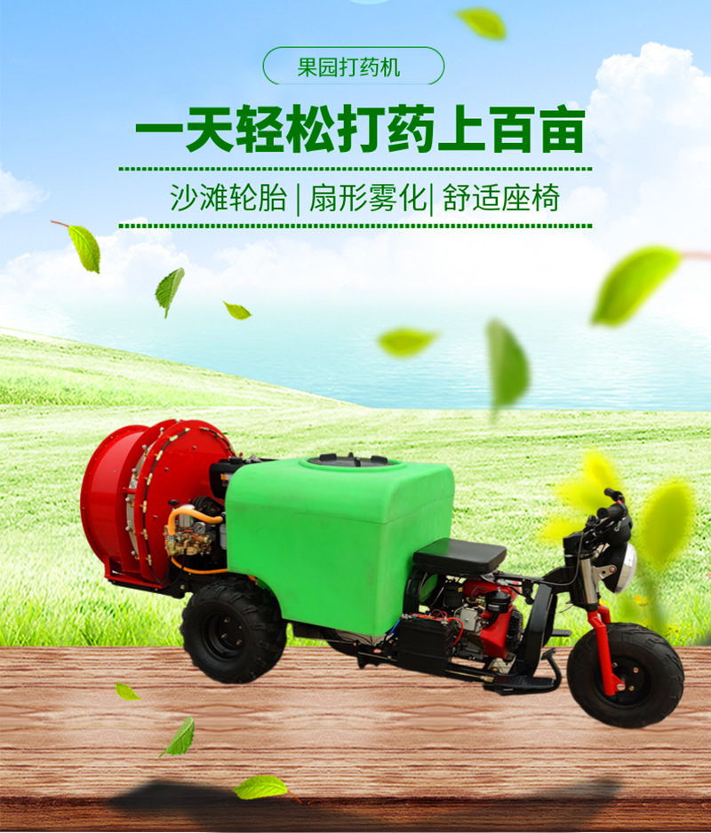 微信图片_20241223160048_副本1