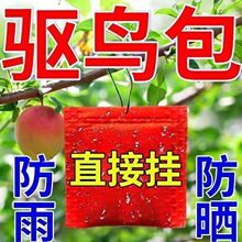 ��B���������Ғ���w���ͺ��㾫���@�r��B�s�B�o�r����վ