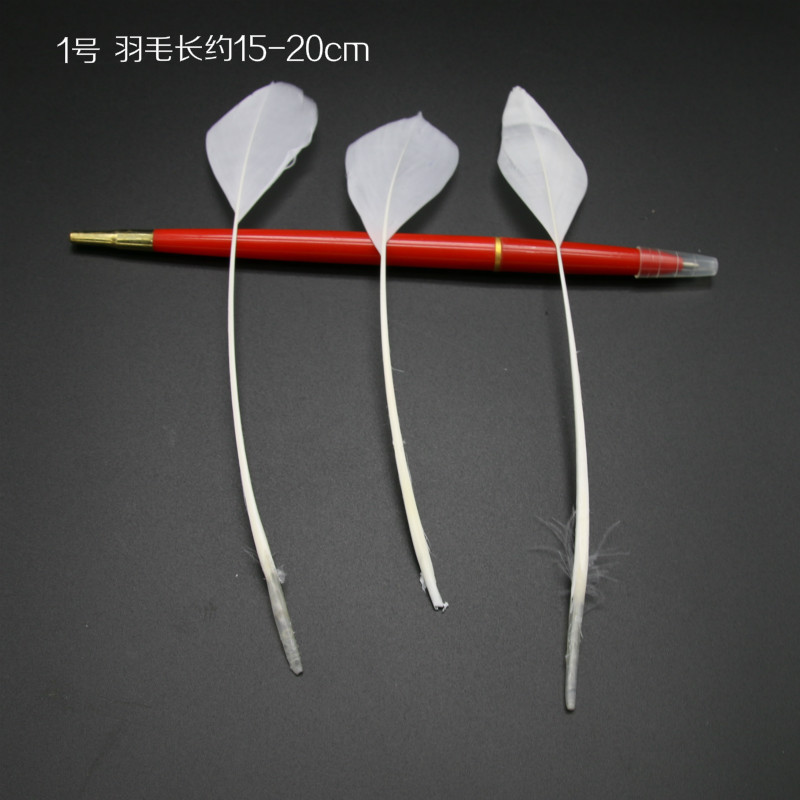 약 25개의 단단한 조각을 찢습니다.