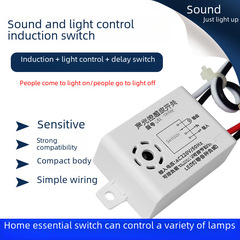 Sound and Light Control Sensor Module LED Bulb Sound Control Sensor Delay Smart Automatic Light Control On/Off Switch