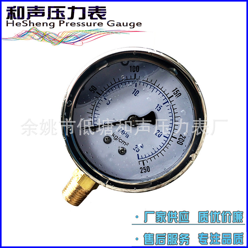 ��Ӧ����ѹ������������������ѹ����YN100����25MPA�����