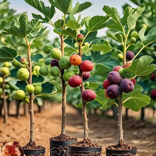 �o��������粨���t��Ʒ�Nˮ����o���������Ԯ���Y�����B������