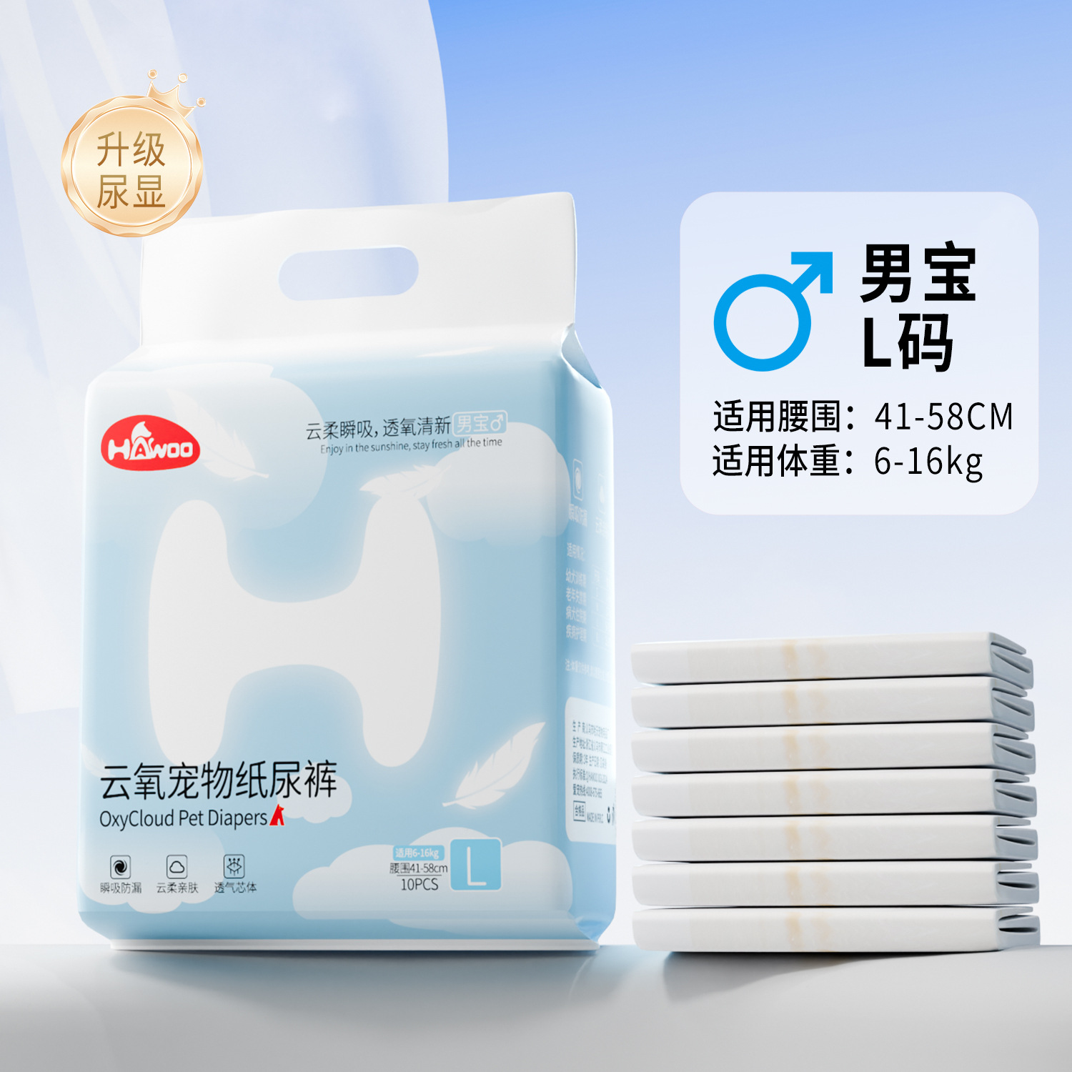 Código L del tesoro masculino 10 piezas