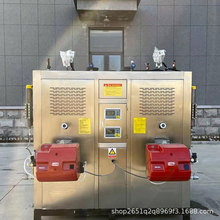 0.6T燃油燃气蒸汽发生器蒸煮漂烫用热能发生器工厂自动热源设备