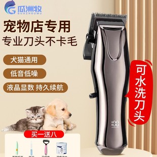 ���I���ﹷ����ë����Ƽ���������ӹ�ë�������Ȯ��Ƽ�