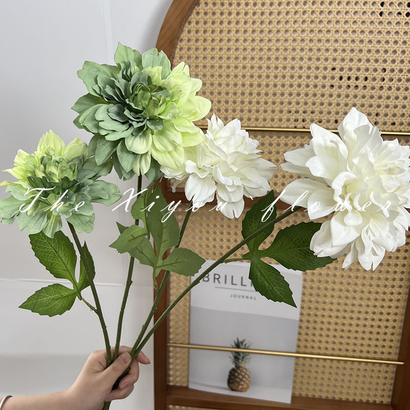 2頭の大麗花莫奈花園風喫茶店のセットです。|undefined