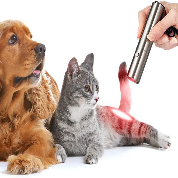 O1CN019X3qZA1LN22zv0N30_!!2879