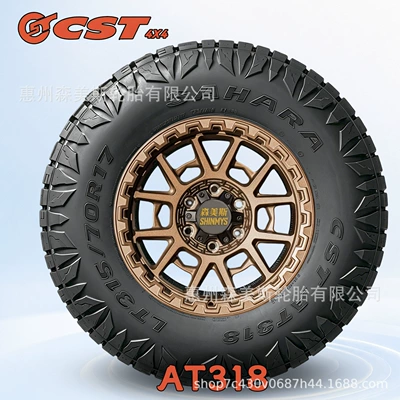 Off-road şinlər LT265/285/315/65/70R17R18 Snow AT