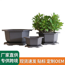 ɰ ⻨ ϻ СС辰Nֲ