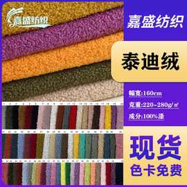 现货小中泰迪绒颗粒绒布玩偶服饰鞋材宠物用品针织面料布料批发