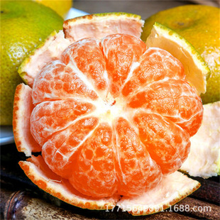 �ָ���޽��箔��YͥԺ���Լt���Ȼʵ۸̽۽������ɳ�ǽ۹�����
