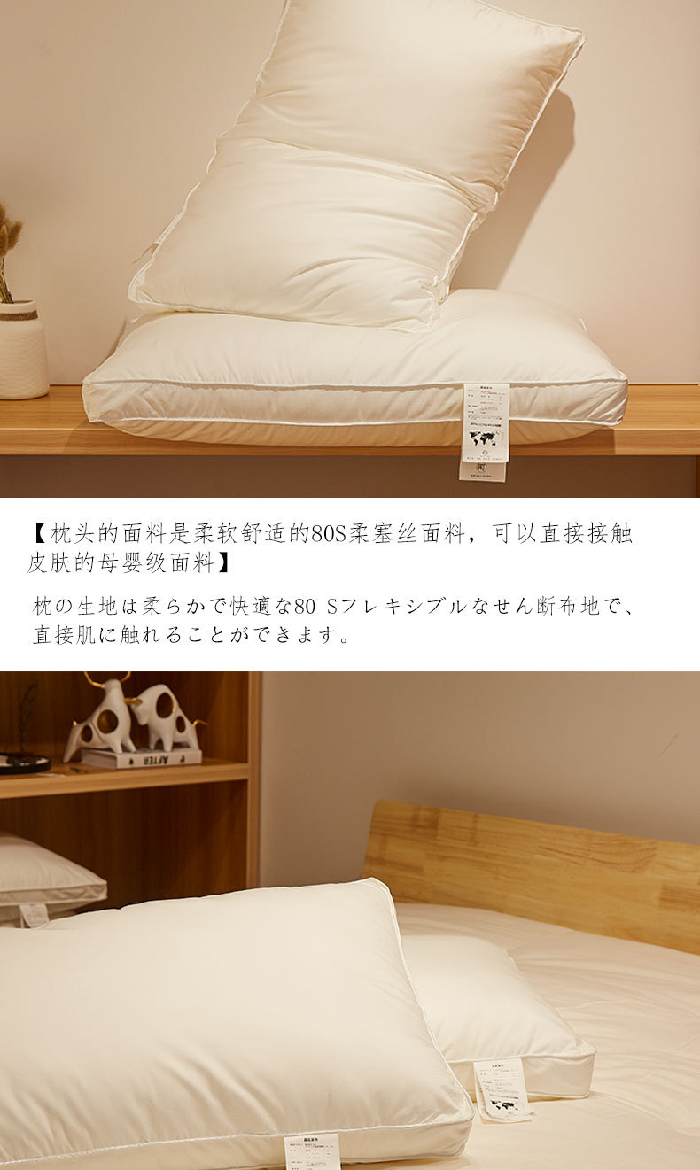 初稿_06.jpg