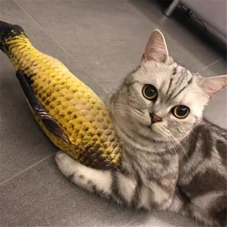 逗猫玩具仿真鱼逗猫磨牙啃咬毛绒玩具鱼猫薄荷鱼猫咪用品|undefined
