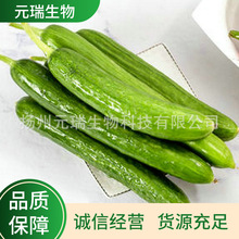 �S�ҹ������l�S����ȡ��ֲ����ȡҺ���yƷ�o�w��Һ��ȡԭ����ȡҺ