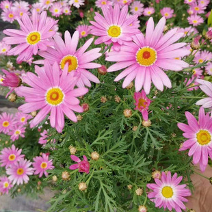 �������ؕr��ݻ���30���������S��տ�ȸ���ļ����Ļ��ش���