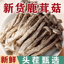 鹿茸菇干货520g鹿茸云南食用无硫香菇脆脆菇煲汤食新货干香菇