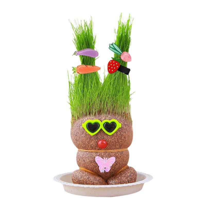 Red césped muñeca de escritorio mini planta de riego hierba larga oficina de plantas verdes balcón interior creativa pequeña maceta