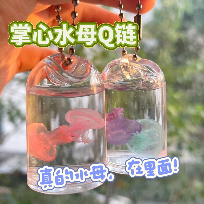 Palm-Sized Jellyfish Q Chain·Real Jellyfish Specimen Red Moon Jellyfish Pendant Student Backpack Keychain Non-Living Creature Palm-Sized Jellyfish Q Chain·Real Jellyfish Specimen Red Moon Jellyfish Pendant Student Backpack Keychain Non-Living Creature