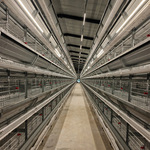 蛋鸡养殖设备热镀锌全自动立体式养鸡设备自动化层叠养鸡全套设备