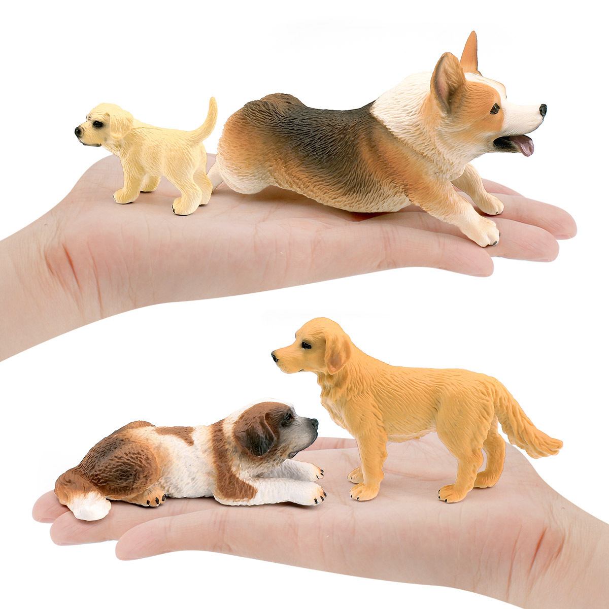 Modelo de perro de simulación transfronteriza bona perro de montaña San Bernardo perro golden retriever pierna corta Corgi juguete de decoración de escritorio