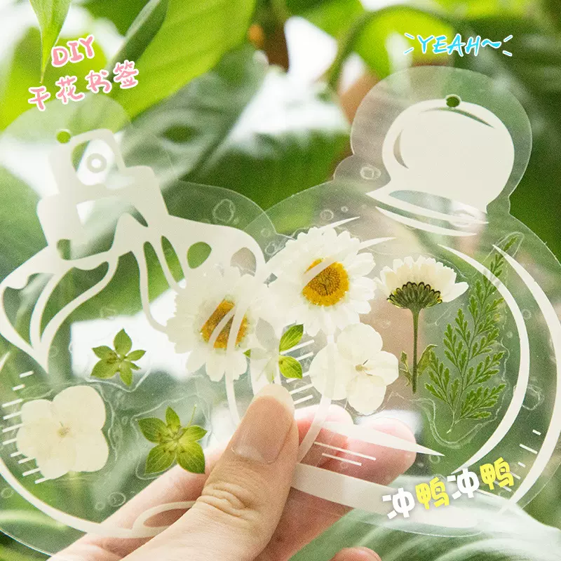 手帐透明物品装饰贴pet贴纸包自制压花植物书签玻璃瓶贴纸