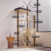 ؈����؈�C؈��һ�w��ľ����̫��œ؈��̨؈���ӄ������؈����Ʒ