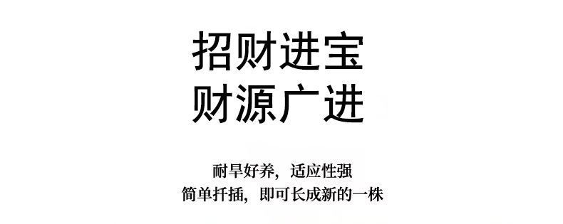 06fb609a-9702-46c5-a46c-c4075ae1ac2e.jpe