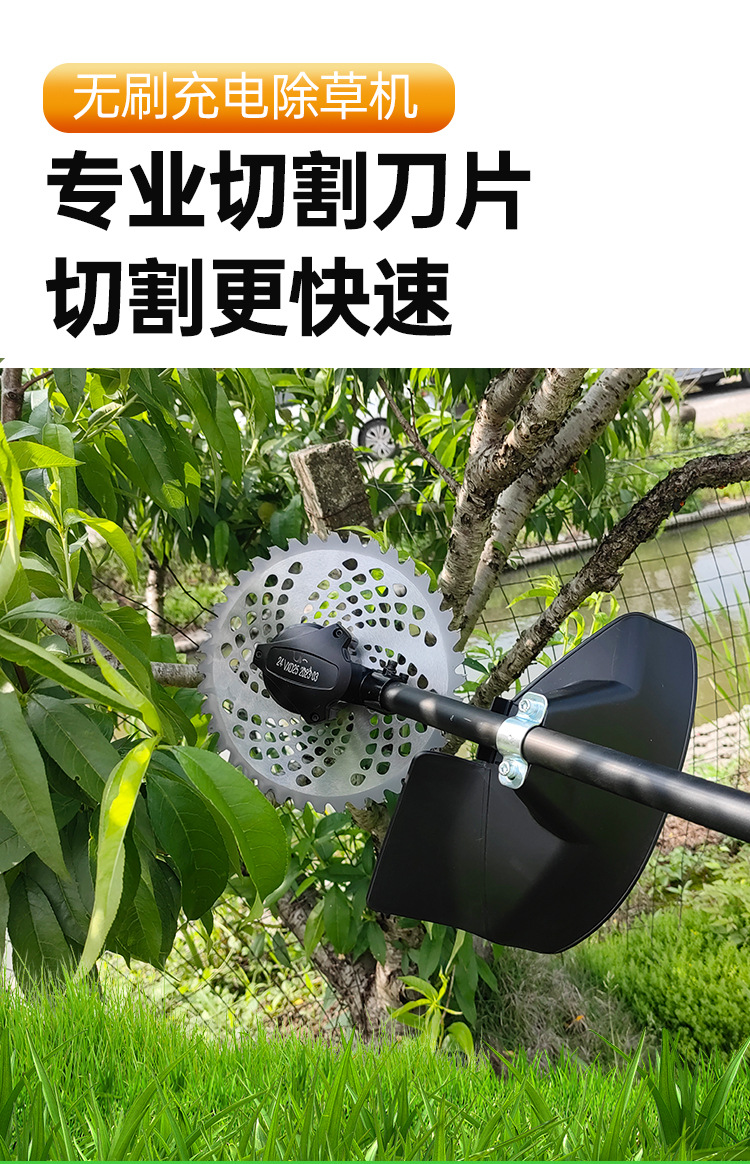 详情_09