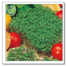 ~ˮ۲˷NӢMڂҌʳ߲҃ˮɳļ̨N