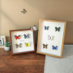 標本真蝴蝶中空相框擺台乾花手工昆蟲盒立體框架a4展示框廠家批發