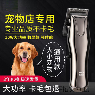 ���I������ë��������Ƽ�����Ȯ��������ӌ��������ë��