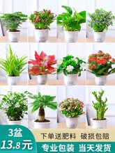 �G�}ˮ�������辰�҃Ȱlؔ�主�F���ľG�j���ɶ��⻨���ļ����B