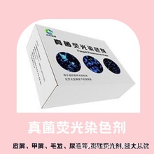 GK-ZJɹȾɫzԇ Ęӱ̎RzY