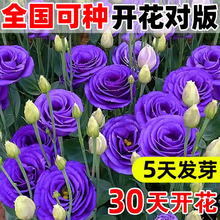 �M���ذ���۹����N�ѻ�ɫ�׻�ܷN�����ļ����N�_���҃��⻨��