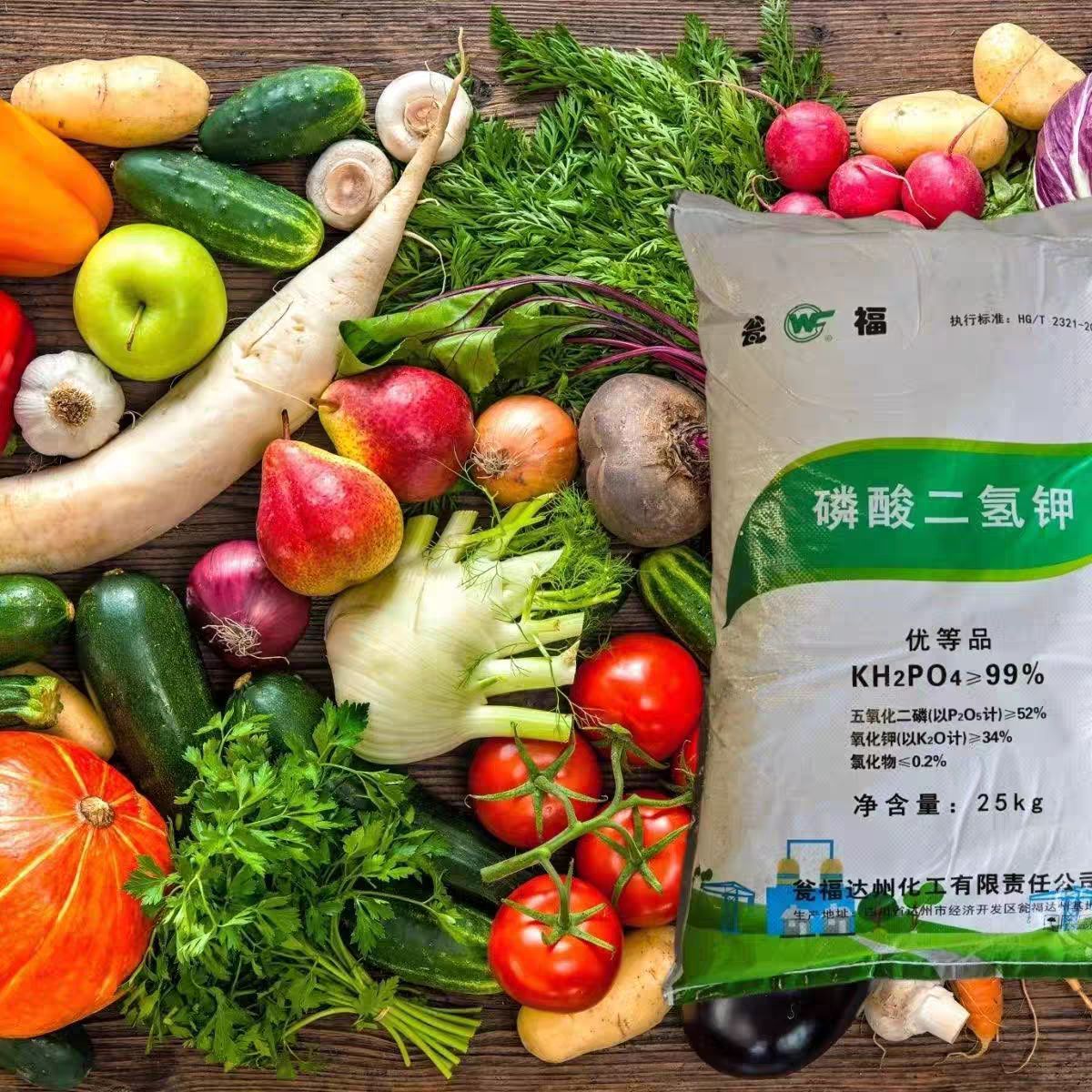 微信图片_20250302091810