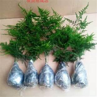 ������Gֲ�辰�ļ��������Gֲ�������Ժ��B�lؔ��G�}�҃���