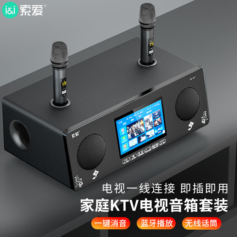 가족 KTV 오디오 스크린 듀얼 마이크