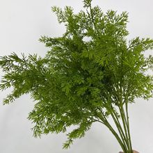 ����ֲ���ָ�ܛ�z�Ȱ� ���� ��ؾGֲ�}�Q�b��滨���Լٻ��廨