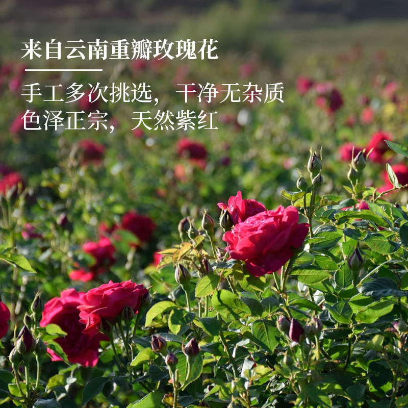 A등급 분쇄장미 50g*2봉지