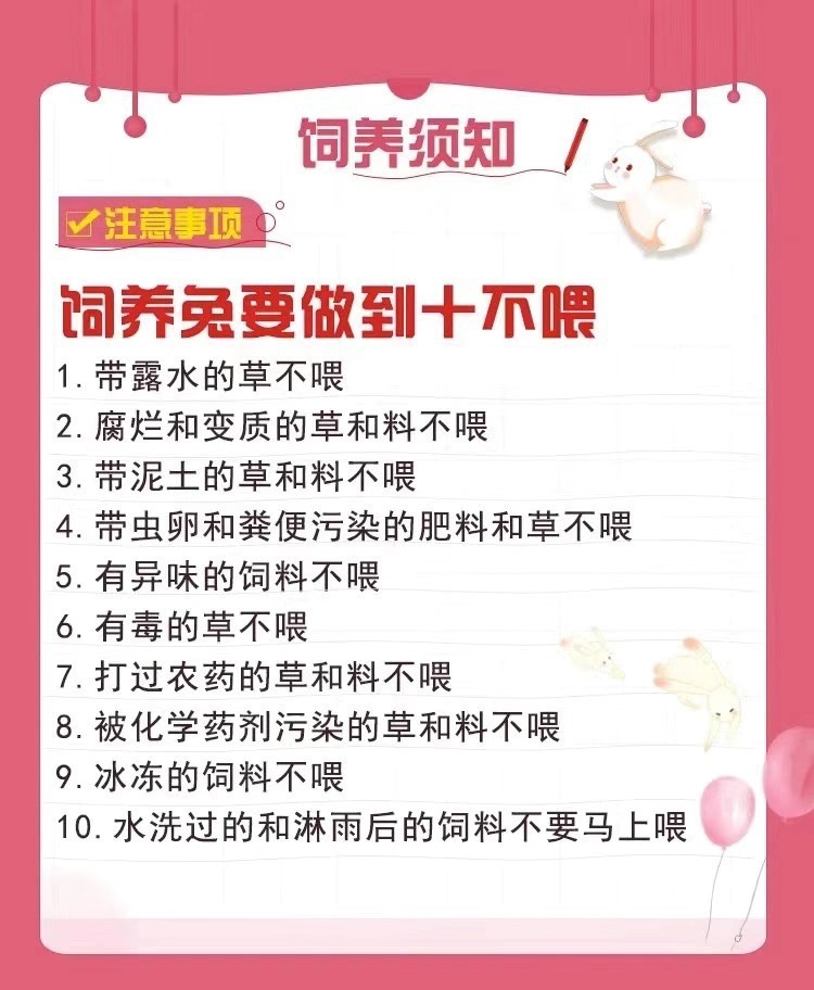 626f823c-e4aa-4f08-97f4-eeed12307a0d.jpe