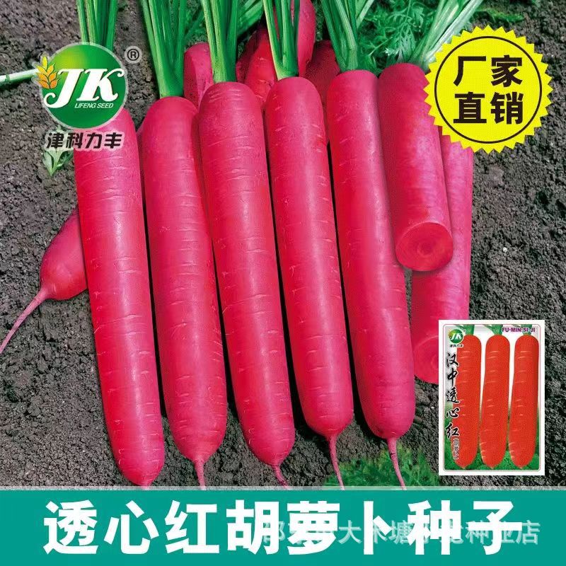 Heart-opening red carrots, fruit radish, autumn sowing, easy to grow, high-yielding vegetable garden, balcony potted vegetables, carrots and red skin