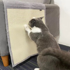 廠家直銷 新款貓抓板防貓抓沙發保護墊磨爪器劍麻墊寵物用品代發