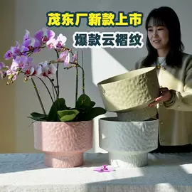 花盆容器;篱笆/栅栏;水培植物瓶