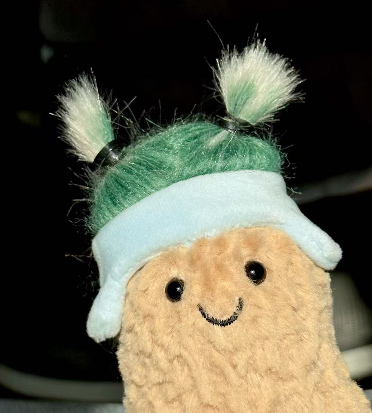 コレクション1;