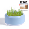 New cat grass potted laziness -free waterless hydroponic planting box cat grass pot wheat particle cultivation plate cup set wholesale