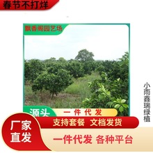 ���lɰ���ٴ�Ƥ��۽��Ә������Ե����̨ͥԺ�ļ��Nֲ�ϱ�������